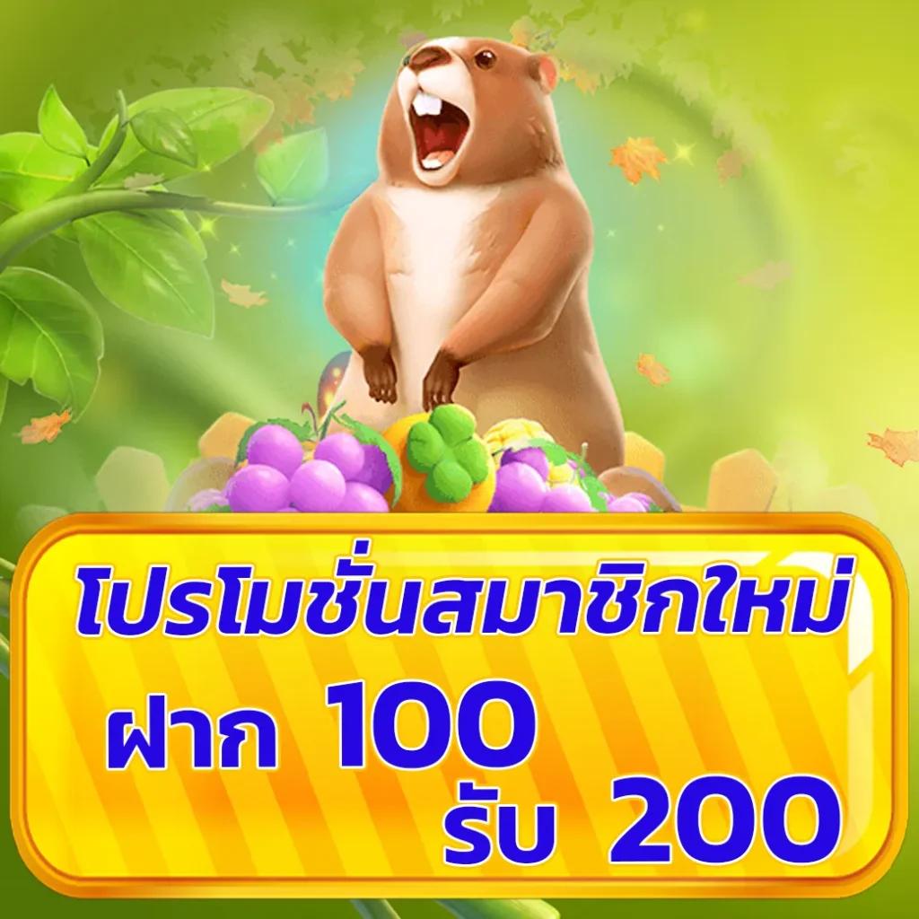 Sexypg888 เว็บคาสิโนออนไลน์ ครองใจนักเดิมพันยุคใหม่ แจกโบนัสสุดคุ้ม!