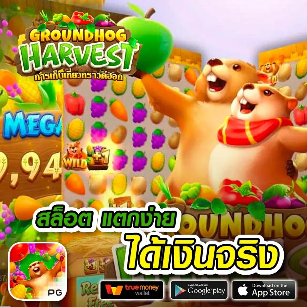 true money คาสิโน ออนไลน์ ระบบ ฝาก ถอน อัตโนมัติ มาตรฐานใหม่