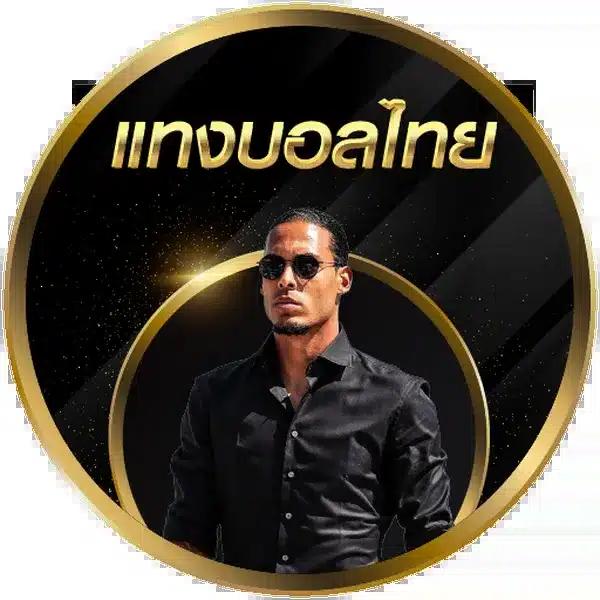 ฝาก15รับ100 wallet โปรโมชั่นล่าสุดสำหรับนักเล่นมือใหม่ คาสิโนออนไลน์รายใหญ่